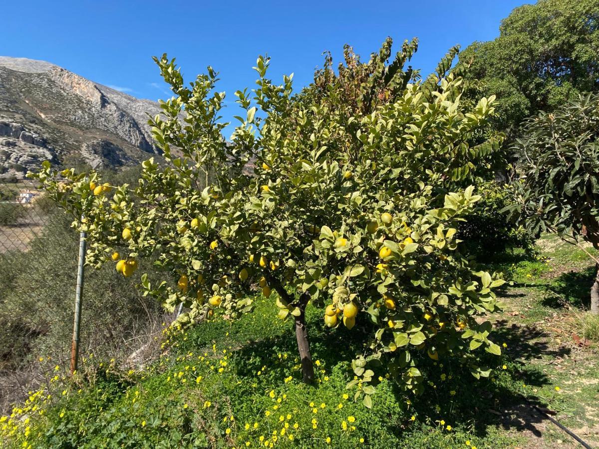 فيلا Casa El Saladillo Valle de Abdalagís المظهر الخارجي الصورة