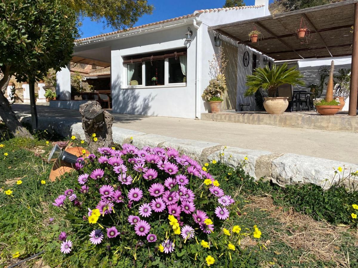 فيلا Casa El Saladillo Valle de Abdalagís المظهر الخارجي الصورة
